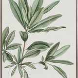 Bellevardi Tropic I (Canvas)