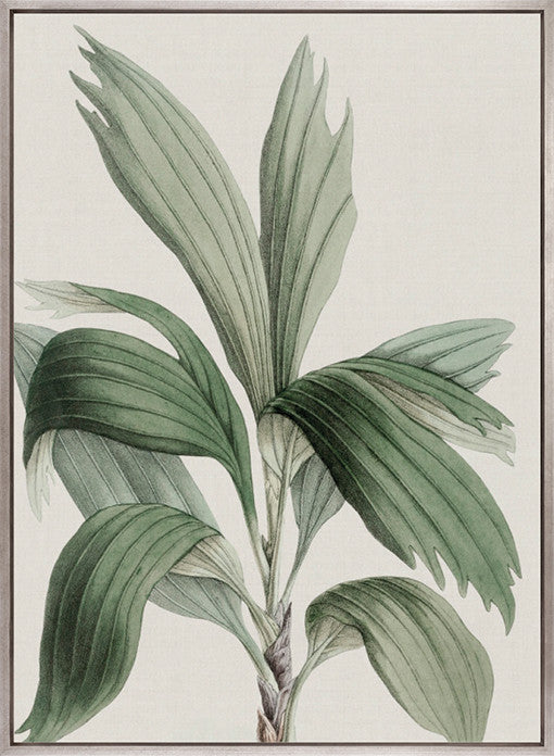 Bellevardi Tropic II (Canvas)