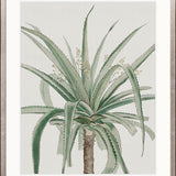 Bellevardi Tropic III