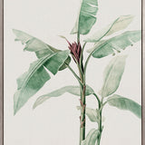 Bellevardi Tropic V (Canvas)