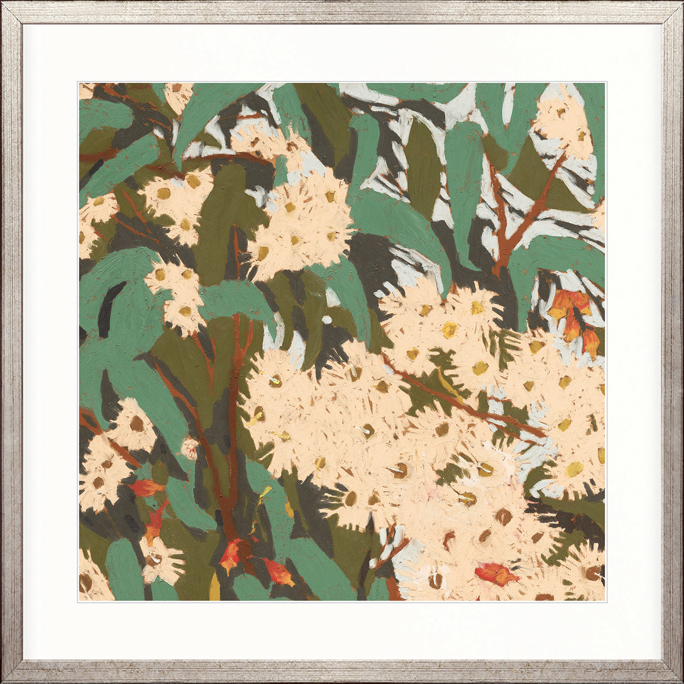 Blushwood Natives IV