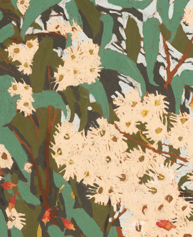Blushwood Natives IV