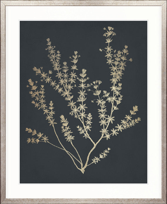 Luxe Foliage V