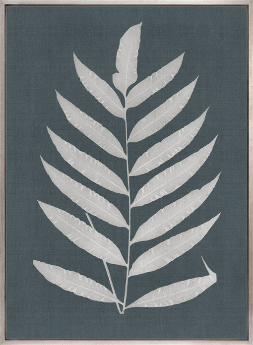 Brenford Fern III (Canvas)