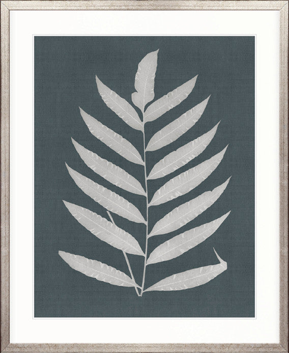 Brenford Fern III