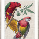 Exotic Parrots I