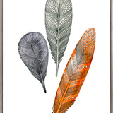 California Feather XII (Canvas)