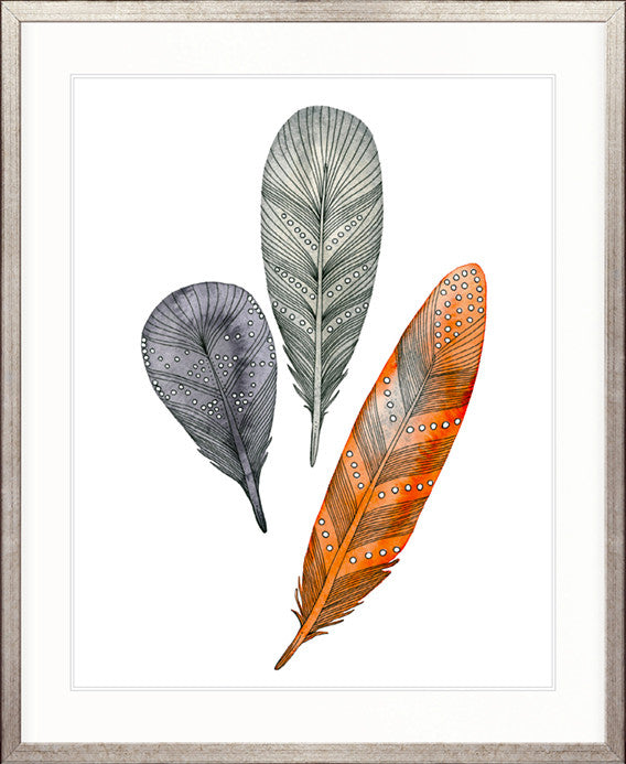 California Feather XII