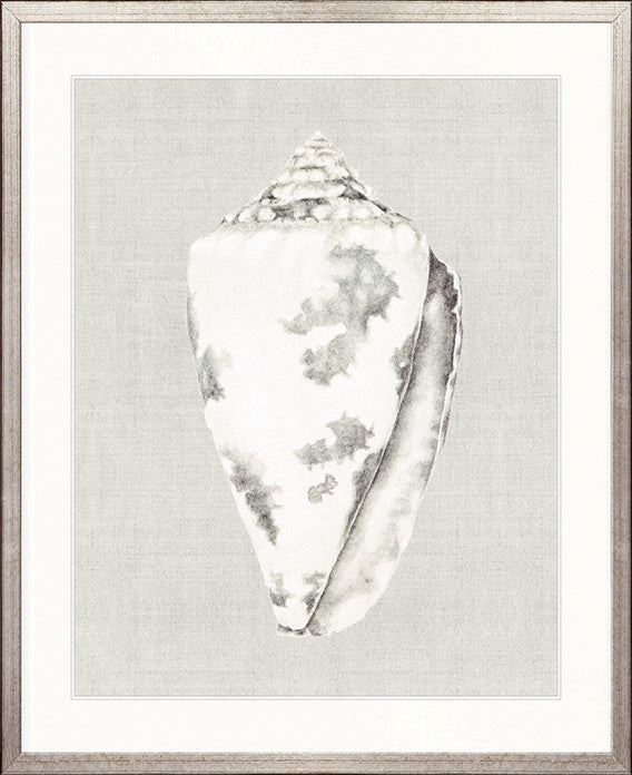 Shell on Linen I