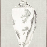 Shell on Linen I (Canvas)