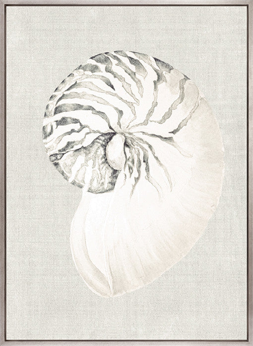 Shell on Linen II (Canvas)