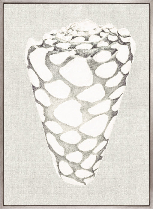 Shell on Linen III (Canvas)