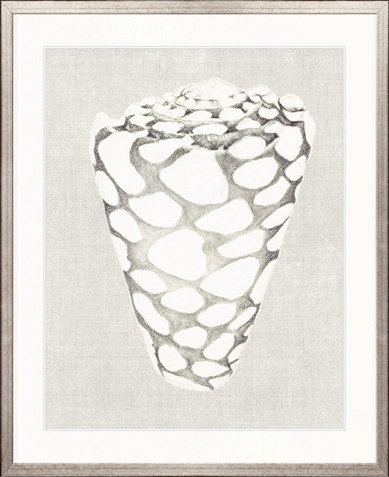 Shell on Linen III