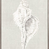 Shell on Linen V (Canvas)