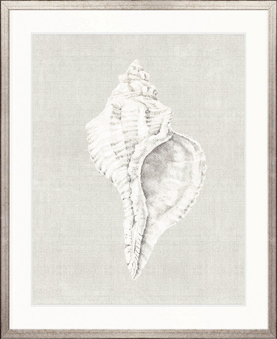 Shell on Linen V