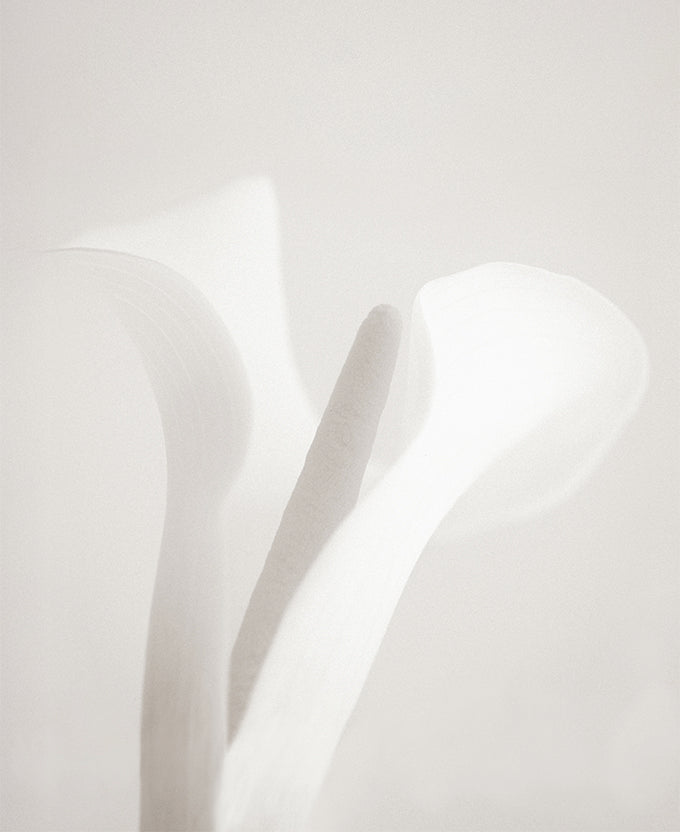 Calla I