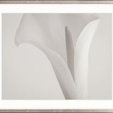 Calla V Small (560mm W x 465mm H) / Standard Clear Glass
