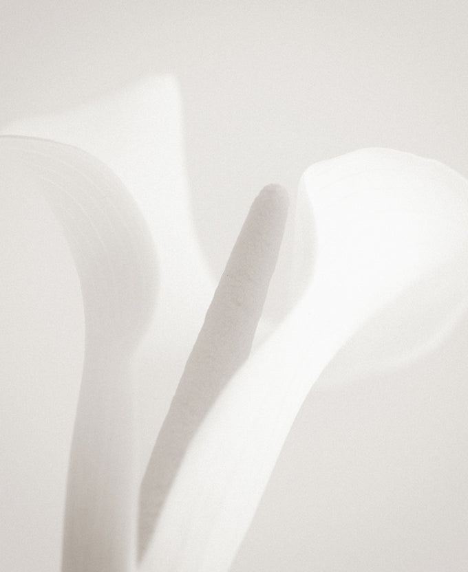 Calla VI