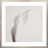Calla VIII Small (550mm W x 550mm H) / Standard Clear Glass