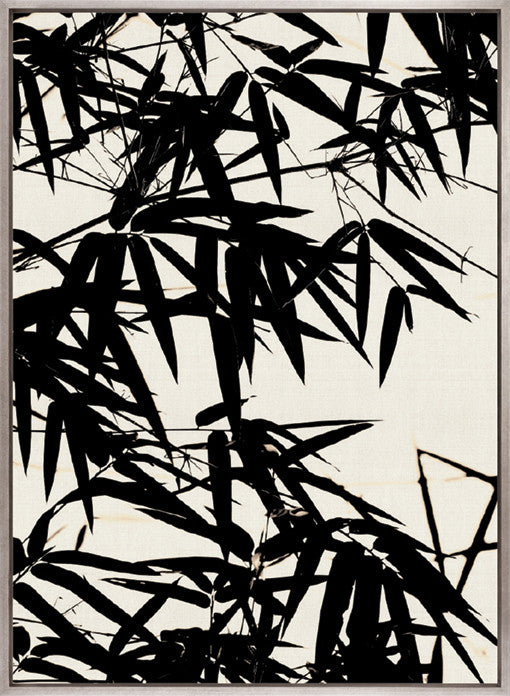 Canopy Silhouette III (Canvas)