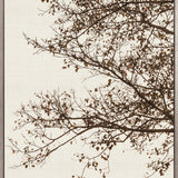 Canopy Silhouette V (Canvas)