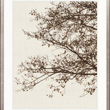 Canopy Silhouette V