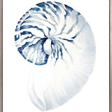 Exquisite Shell II (Indigo) (Canvas)