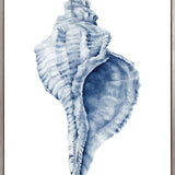 Exquisite Shell III (Indigo) (Canvas)