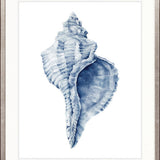 Exquisite Shell III (Indigo)
