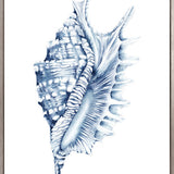 Exquisite Shell IV (Indigo) (Canvas)