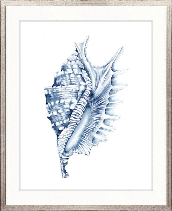 Exquisite Shell IV (Indigo)