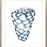 Exquisite Shell VI (Indigo)