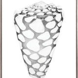Exquisite Shell XII (Soft Grey) (Canvas)
