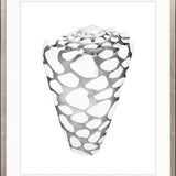 Exquisite Shell XII (Soft Grey)