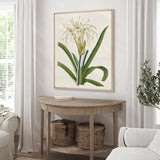La Flora I (Canvas)