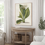 La Flora II (Canvas)