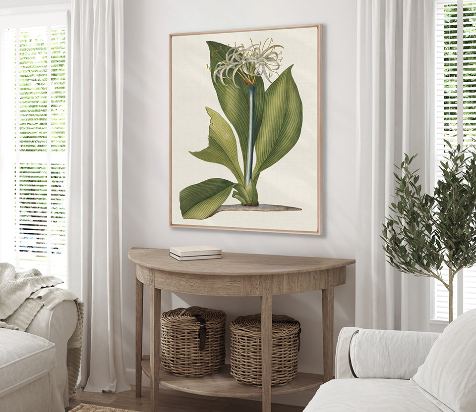 La Flora II (Canvas)