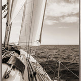 Nautical III (Sepia) (Canvas)