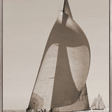 Nautical V (Sepia) (Canvas)