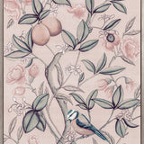 Chanteur Bird III (Canvas)