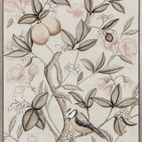 Chanteur Bird V (Canvas)