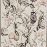 Chanteur Bird VI (Canvas)