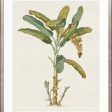 Tropical Splendour I