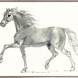 The Whispering Ridge III (Canvas)