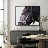 Majestic Thoroughbred XI (Canvas)