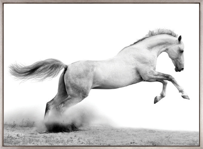 Majestic Thoroughbred XII (Canvas)