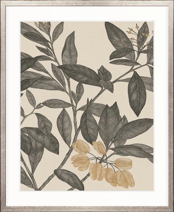 Cooks Floral Specimen I