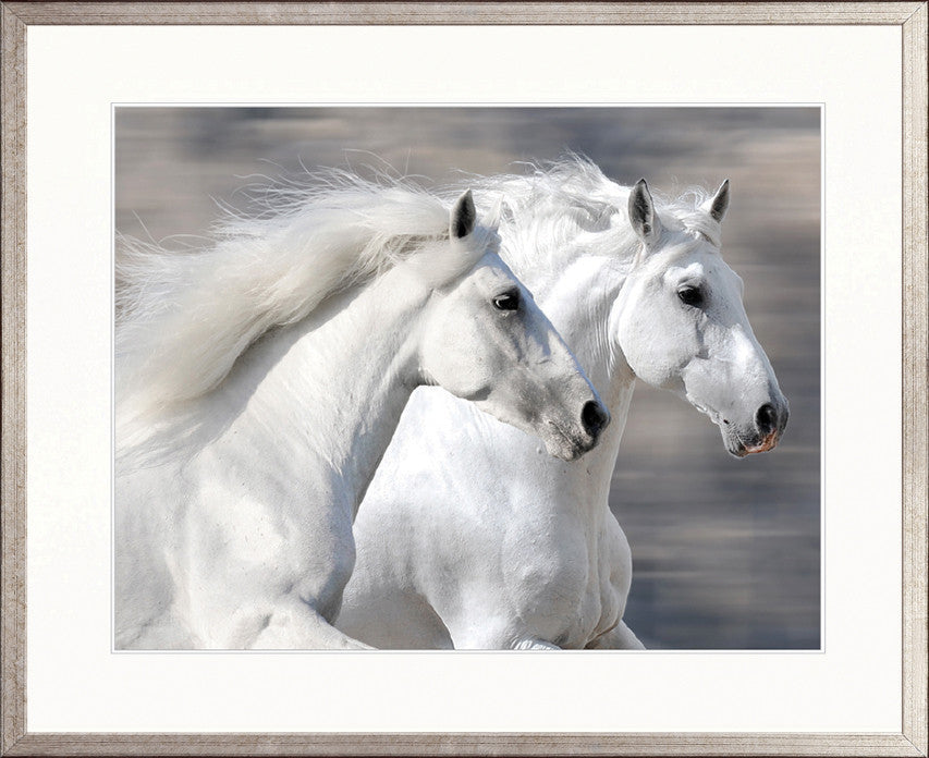 Majestic Thoroughbred IX