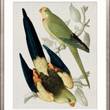 Birds in Paradise I