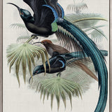 Birds in Paradise II (Canvas)